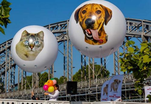 3 ballons gonflables hélium  Portes ouvertes de la SPA Paris