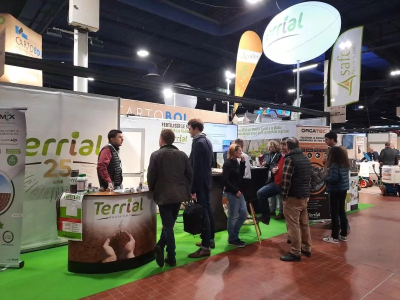 ballon oval terrial sur mat platine