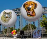 ballon-sphere-publicitaire-helium-spa-paris.jpg